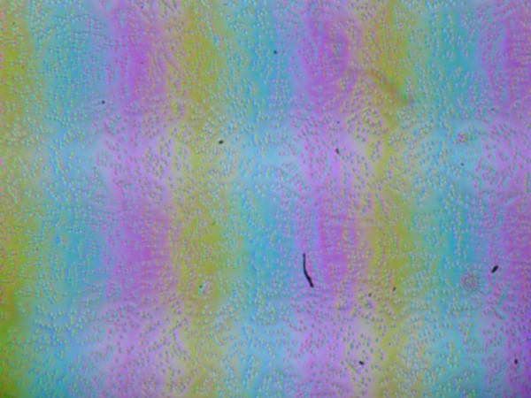 Обзор ноутбука Digma Pro Pactos с AMD Ryzen 7 7730U Обзор ноутбука Digma Pro Pactos с AMD Ryzen 7 7730U