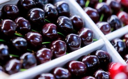 До потери сознания: стало известно, кому запрещена черешня