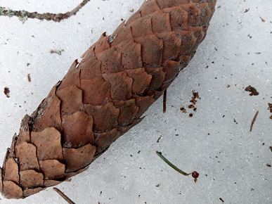 Обзор 12-дюймового планшета Teclast T60 Plus