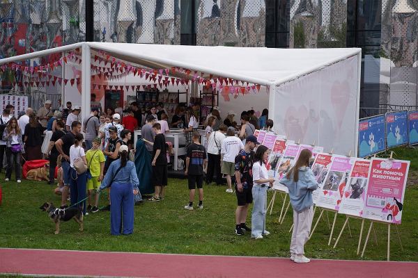 У счастья четыре лапки. В Москве прошел фестиваль, объединивший любителей животных
