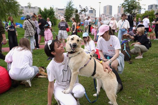 У счастья четыре лапки. В Москве прошел фестиваль, объединивший любителей животных