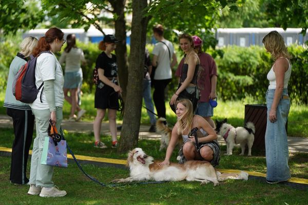 У счастья четыре лапки. В Москве прошел фестиваль, объединивший любителей животных