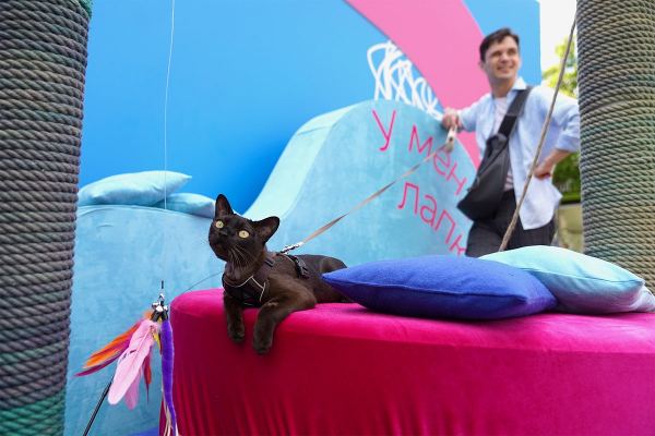 У счастья четыре лапки. В Москве прошел фестиваль, объединивший любителей животных