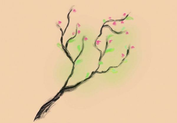 Обзор планшета XPPen Magic Note Pad, позиционируемого как блокнот для заметок