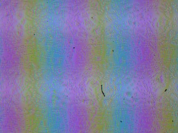 Обзор ноутбука для начинающих OSiO FocusLine F160a на базе AMD Ryzen 5 5500U