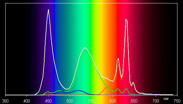 Обзор ноутбука для начинающих OSiO FocusLine F160a на базе AMD Ryzen 5 5500U