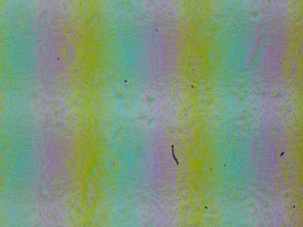 Обзор ноутбука начального уровня Azerty RB-1650 на платформе мини-ПК