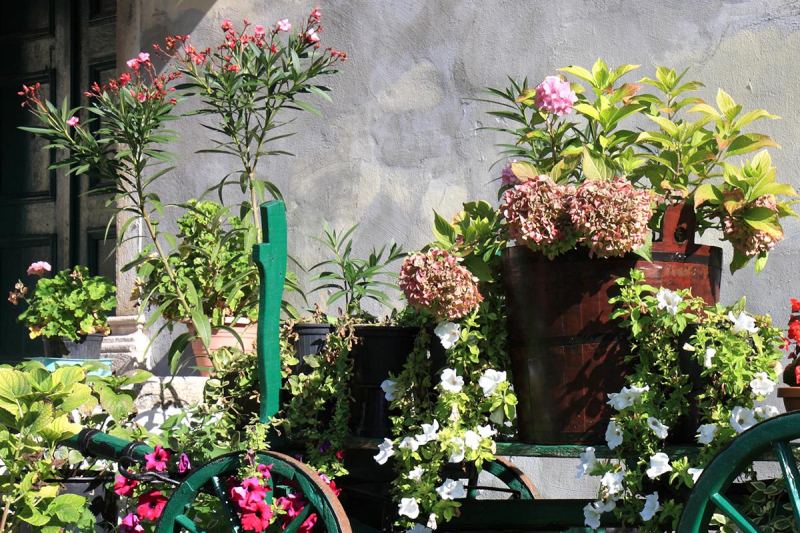 Комод-огород и зеркало-пруд: как создать арт-объект на даче