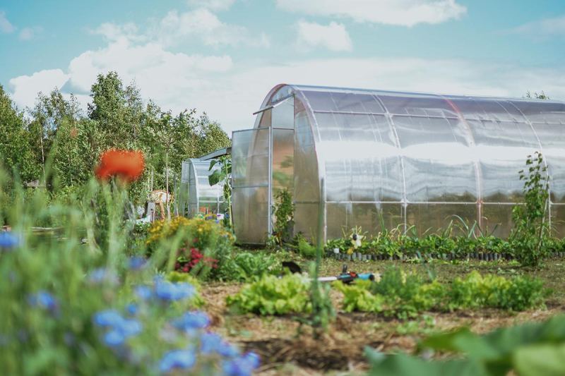 Никакого бизнеса: что запретят делать в СНТ с 1 сентября