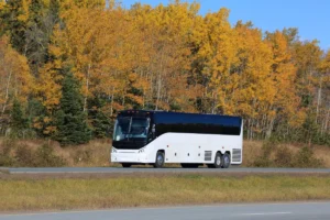 Как бюджетно отдохнуть в Карелии: секреты экономии от туроператора — читать в статье СканТур